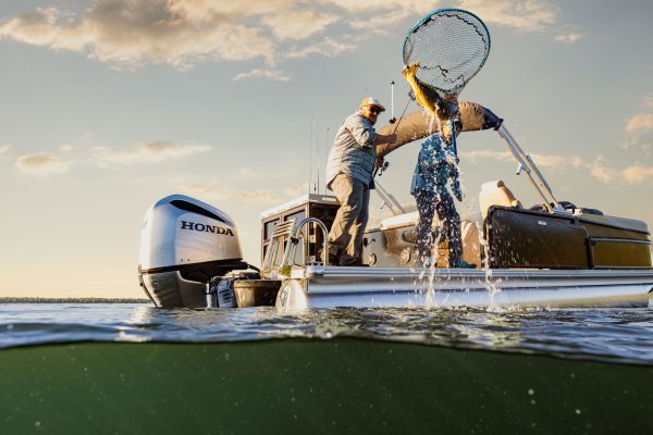 419123924_879206947546714_4974282039611054799_n